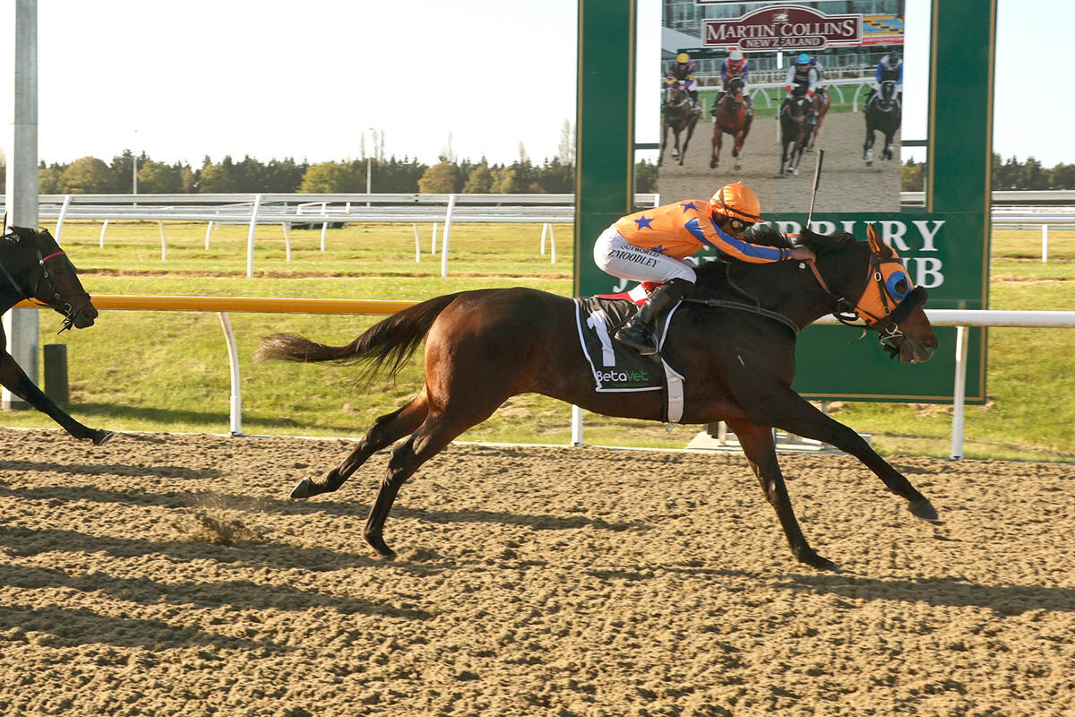 Te Akau Trans Tasman Midweek Preview