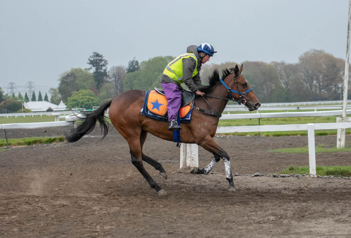 Riccarton Trackwork Update