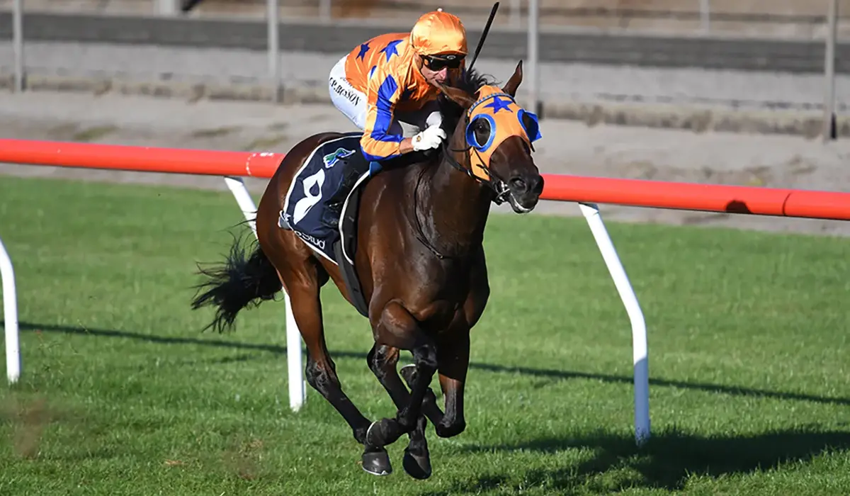 Te Akau's Spring Hopefuls Impress at Taupo