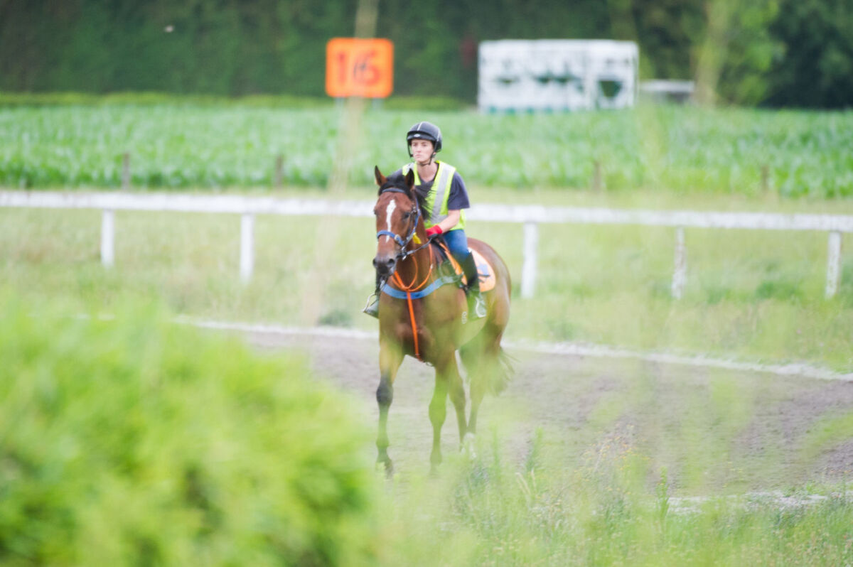 Te Akau Tuesday Trackwork