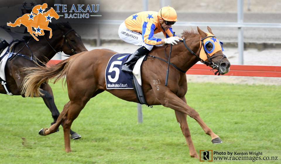 Te Akau Matamata Winning Treble - Win 1