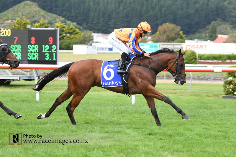 Quattro Quinta Collects Another at Trentham