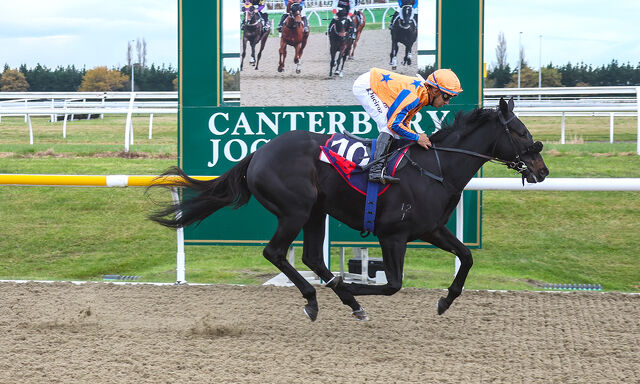 Te Akau Riccarton Tuesday Preview