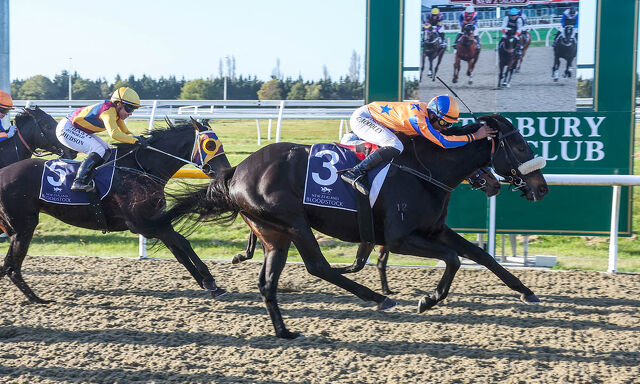 Te Akau Trans Tasman Thursday Preview
