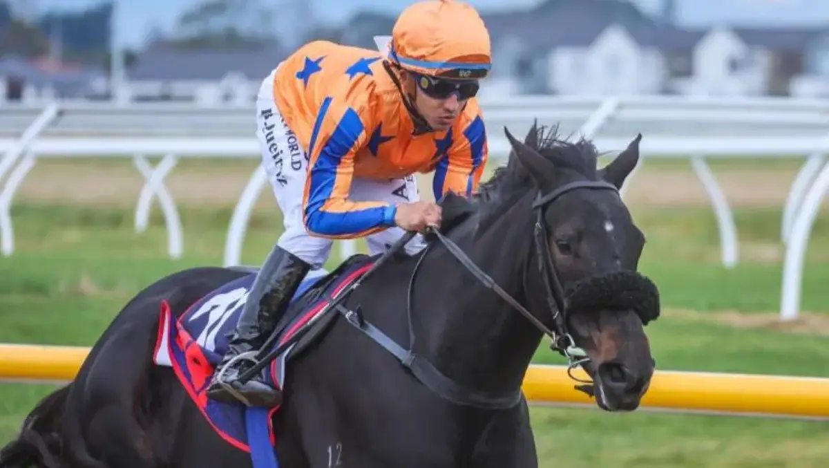 In-Form Fillies Spearhead Strong Te Akau Line Up