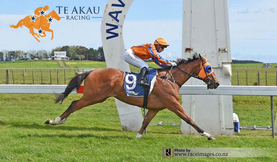Te Akau Waverley Sunday Preview