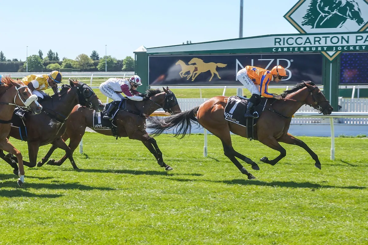 Queen’s Evidence winning at Riccarton