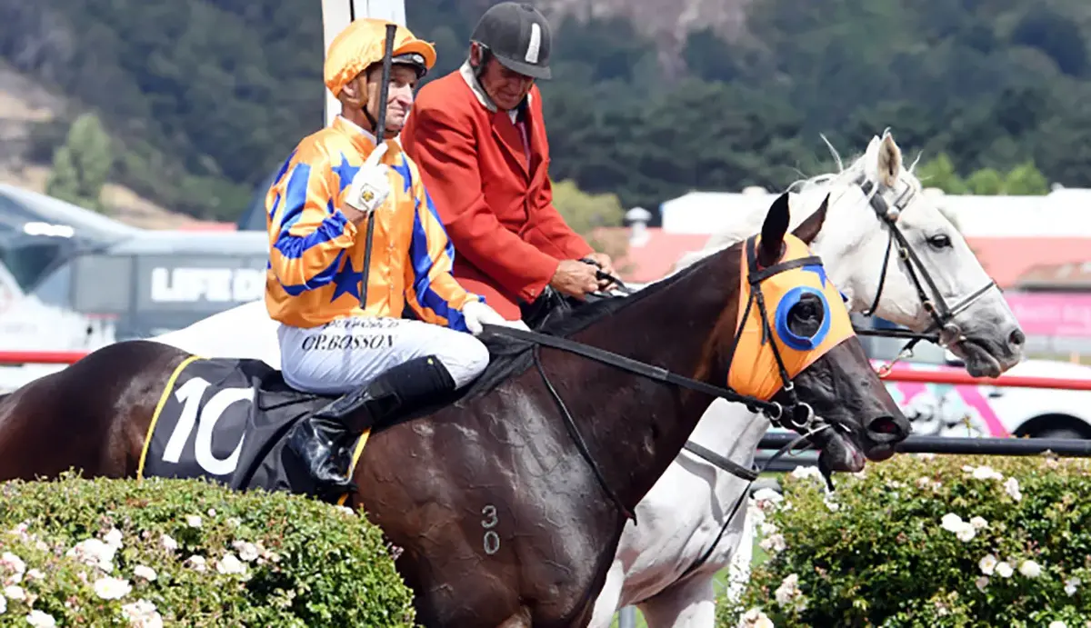 Te Akau Trans-Tasman Gr.1 Saturday Preview