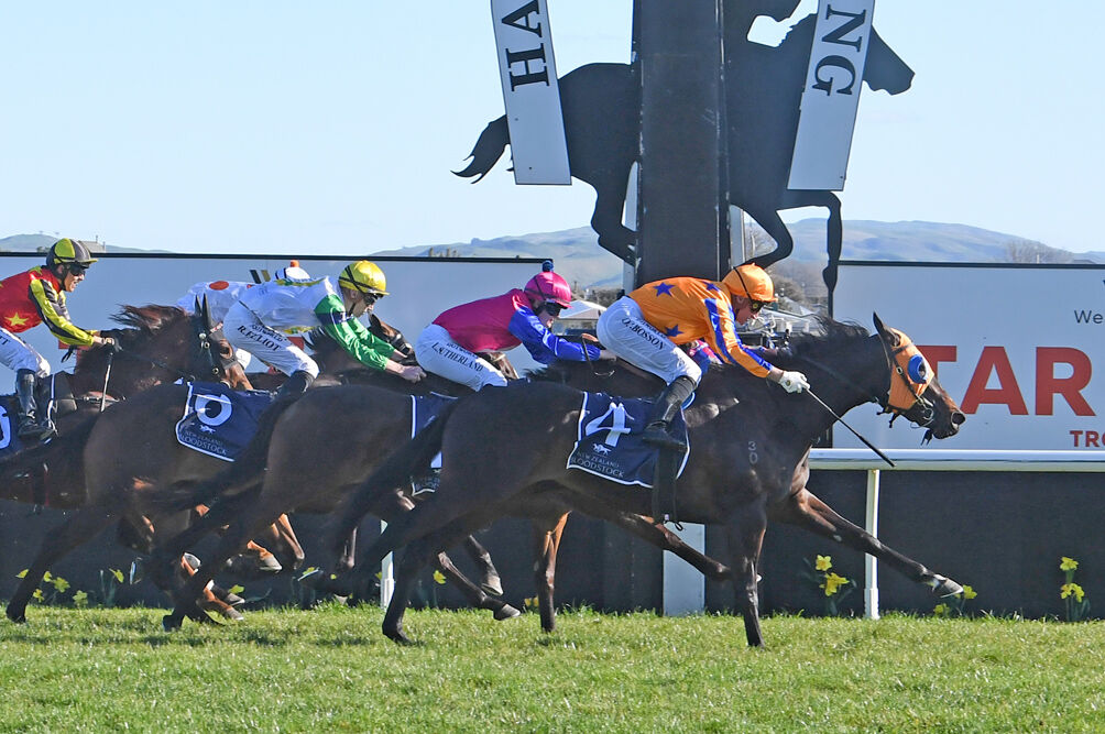 5 Win Trans Tasman Saturday - 4 Stakes' Wins - Quintessa the Queen
