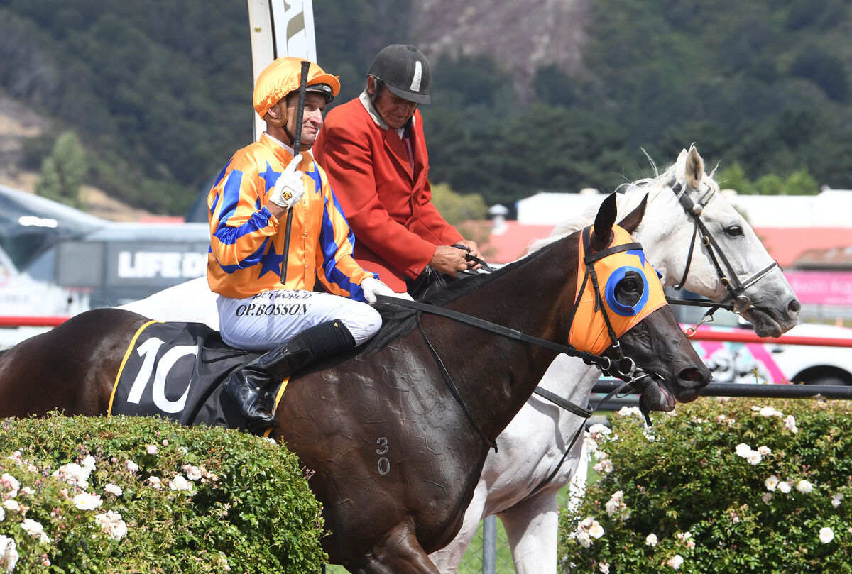 Te Akau Trans-Tasman Saturday Preview