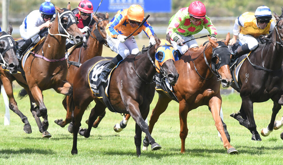 Quintessa - Group 1 Queen
