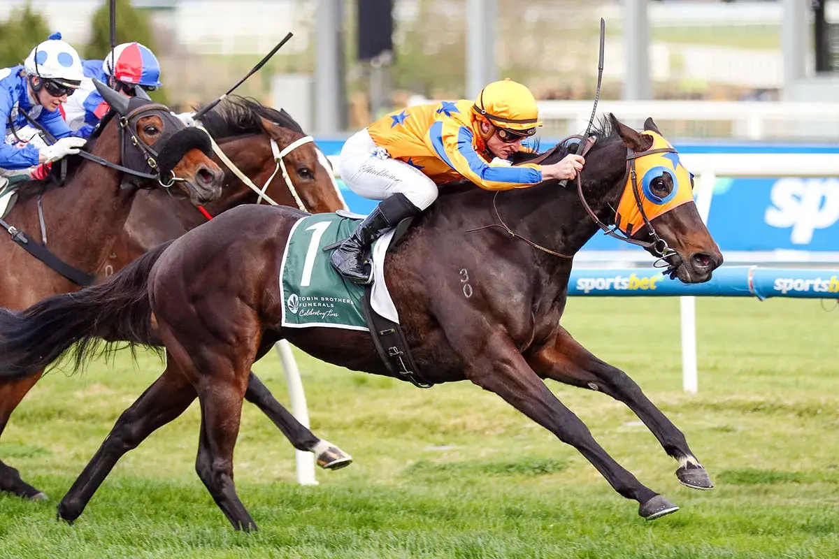 Te Akau Vying for Cup Day Success