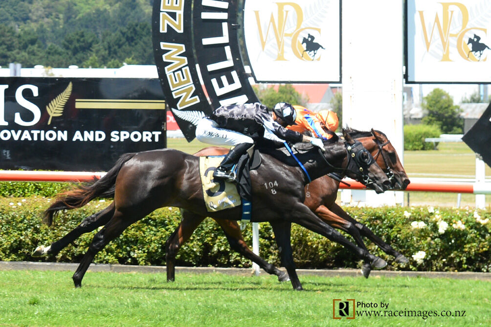 Stakes' Win for Quattro Quinta