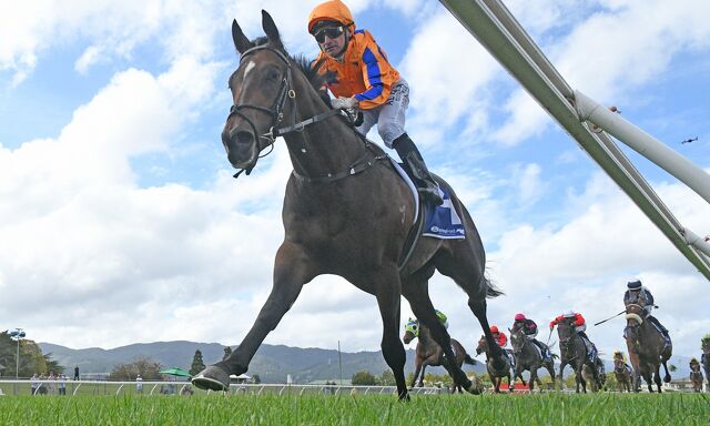 Te Akau Talent Gears Up for New Season
