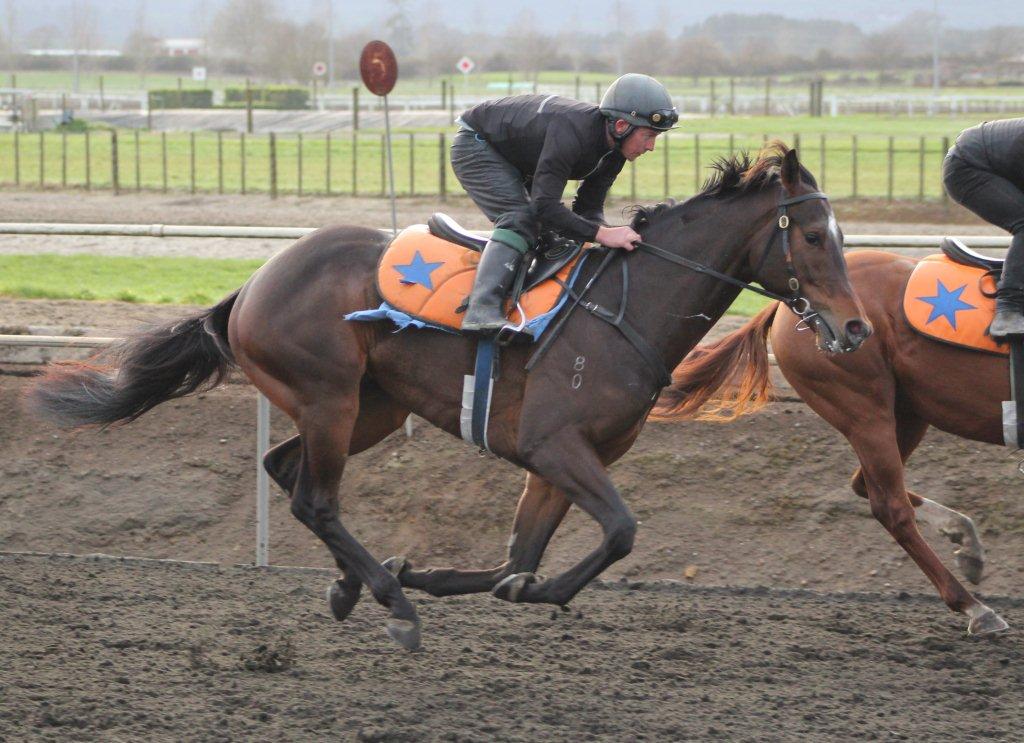 Te Akau Friday Trackwork