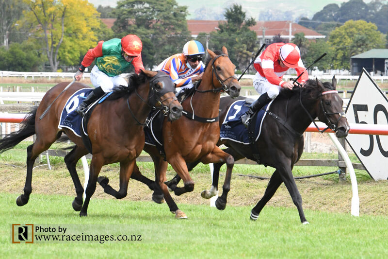 Ragamuffin Ruthless - 3 Win Wednesday