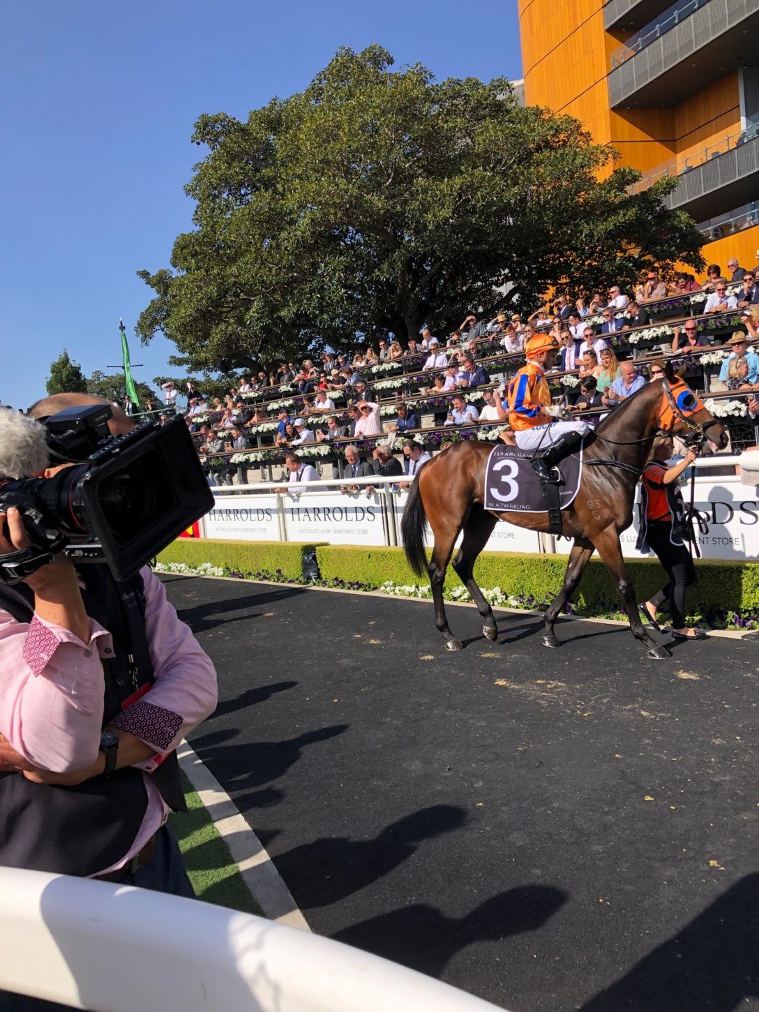 Te Akau TV - Trans Tasman Group 1 - 2 - 3 Action