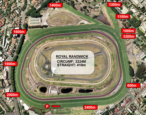 Sydney Cup Contender Secured