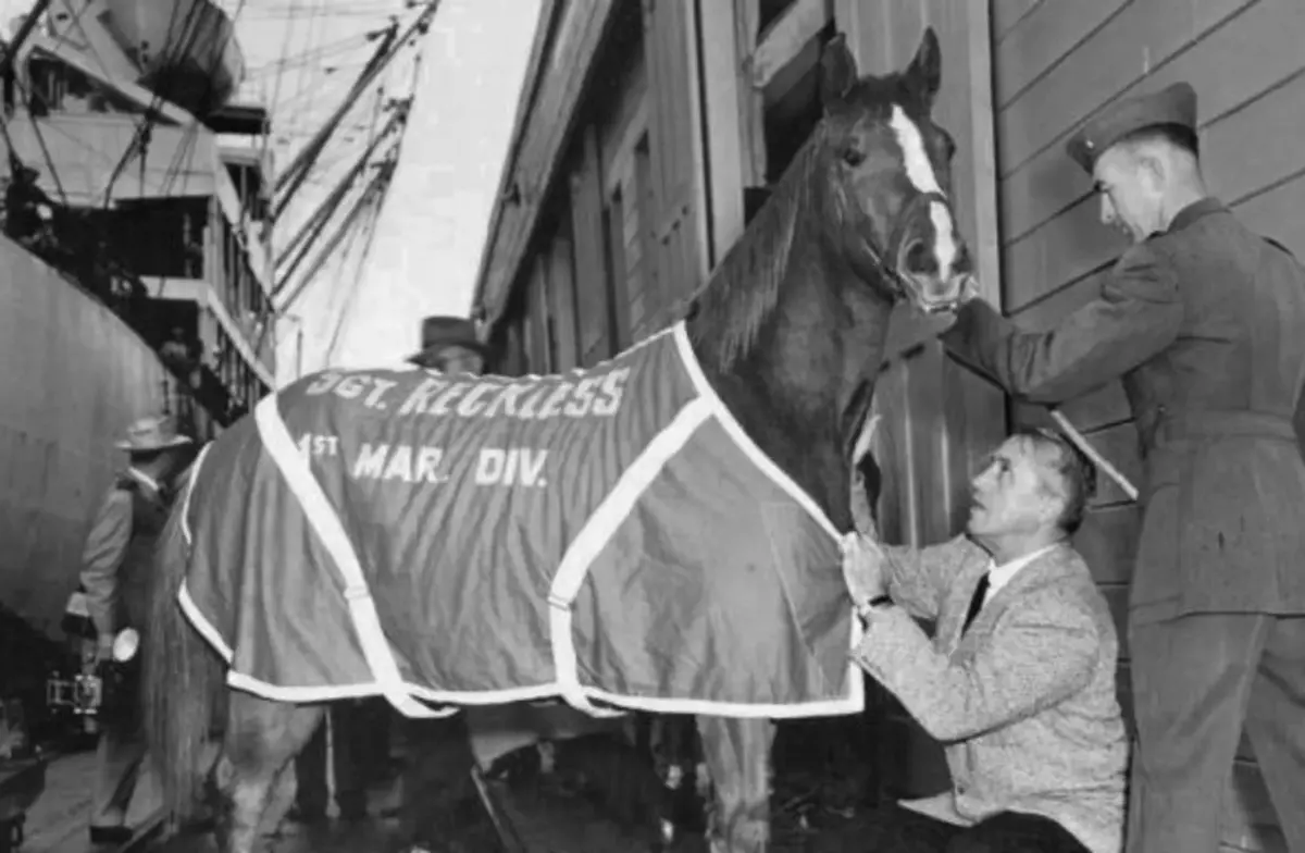 Horse Heroes of History