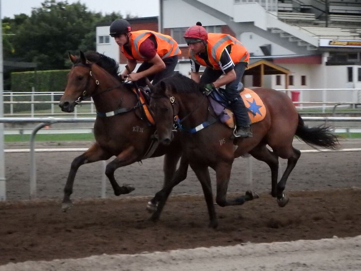 Te Akau Thursday Trackwork