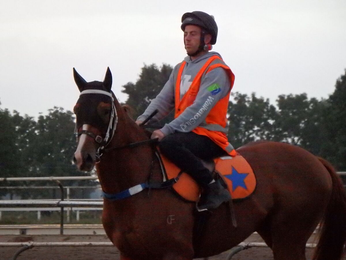 Te Akau Tuesday Trackwork