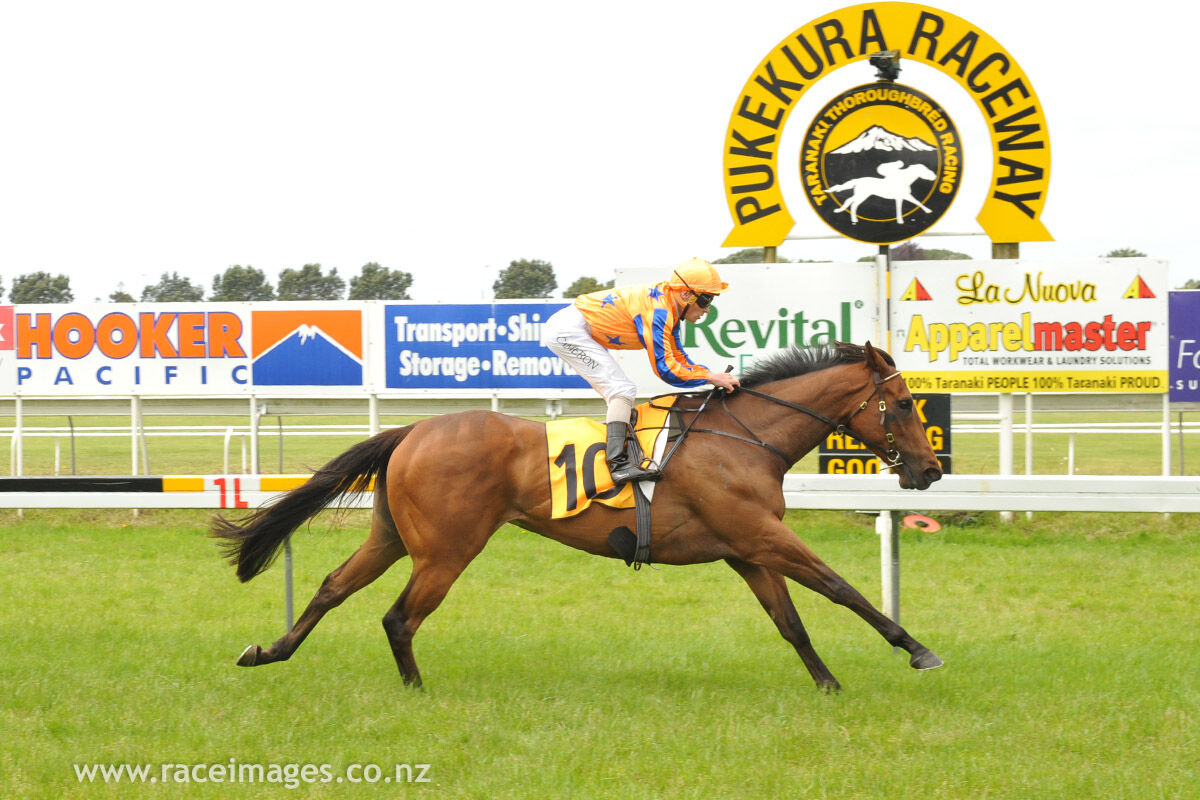 Te Akau Taranaki Preview