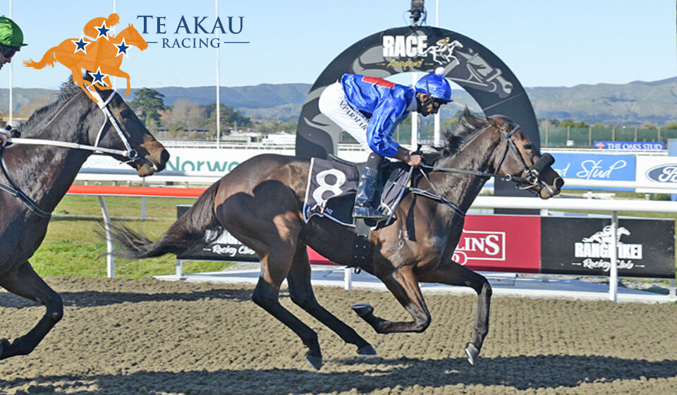 Awapuni Double - Redsheis Rips Home