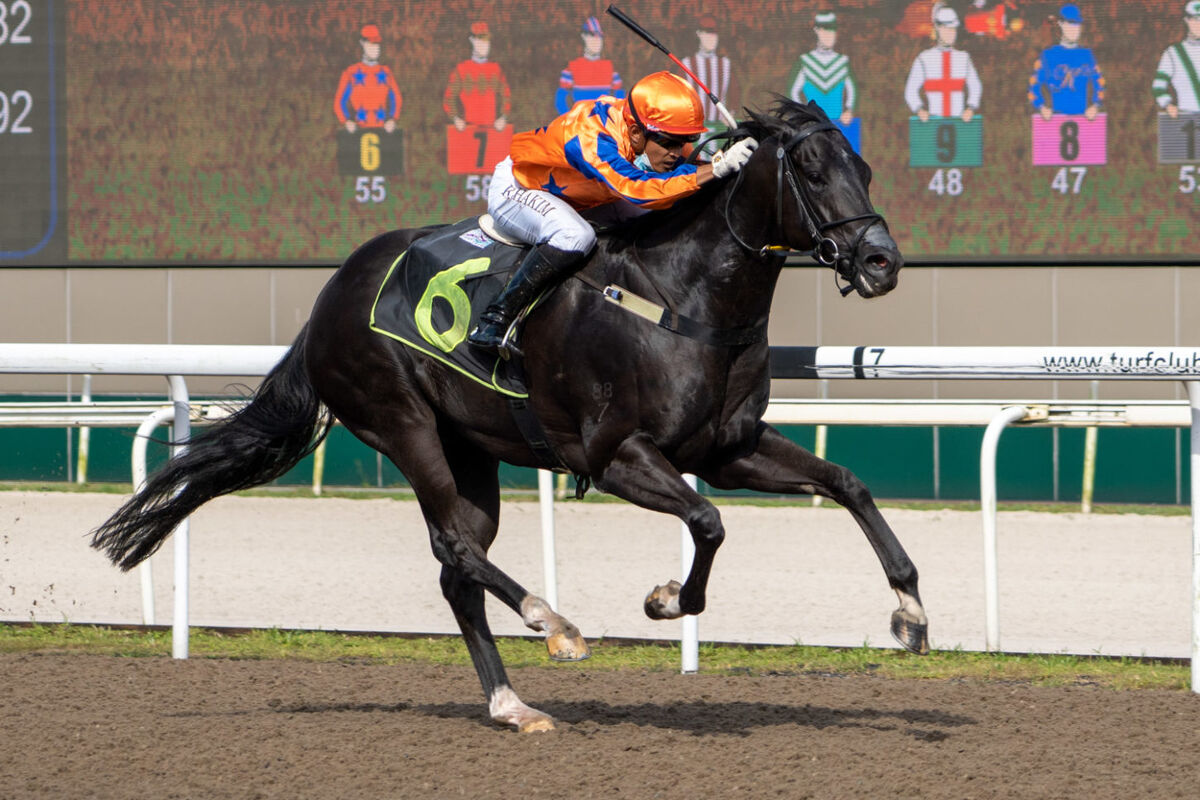 Te Akau Singapore Saturday Preview