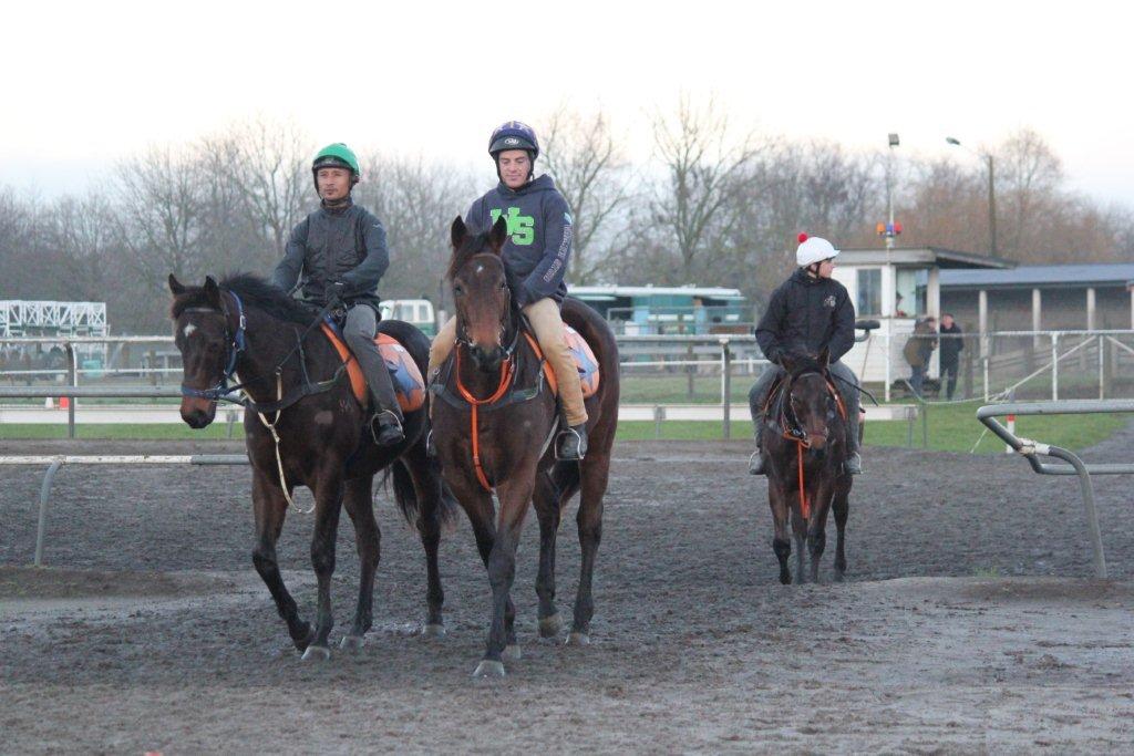 Te Akau Thursday Trackwork