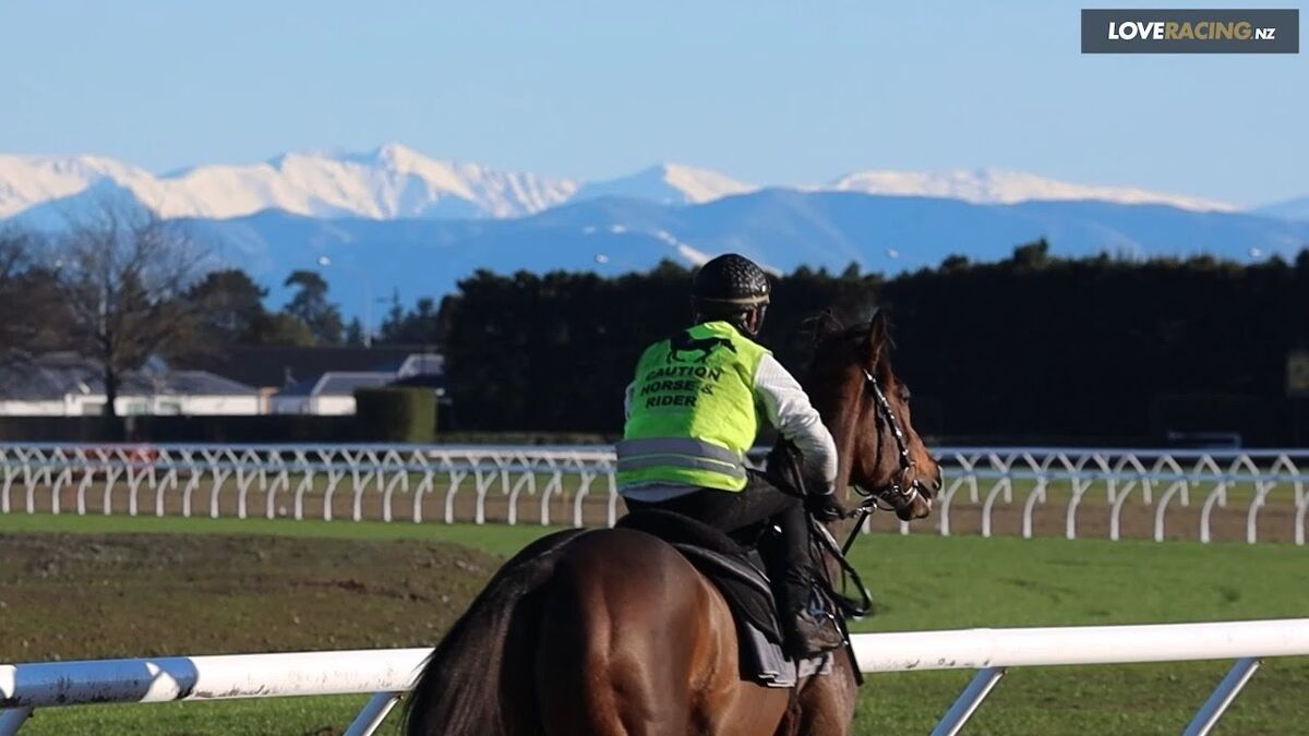 Te Akau Riccarton Thursday Preview