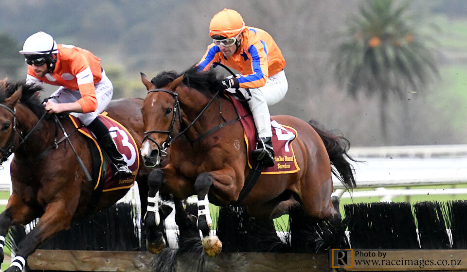 Te Akau Te Aroha Sunday Preview
