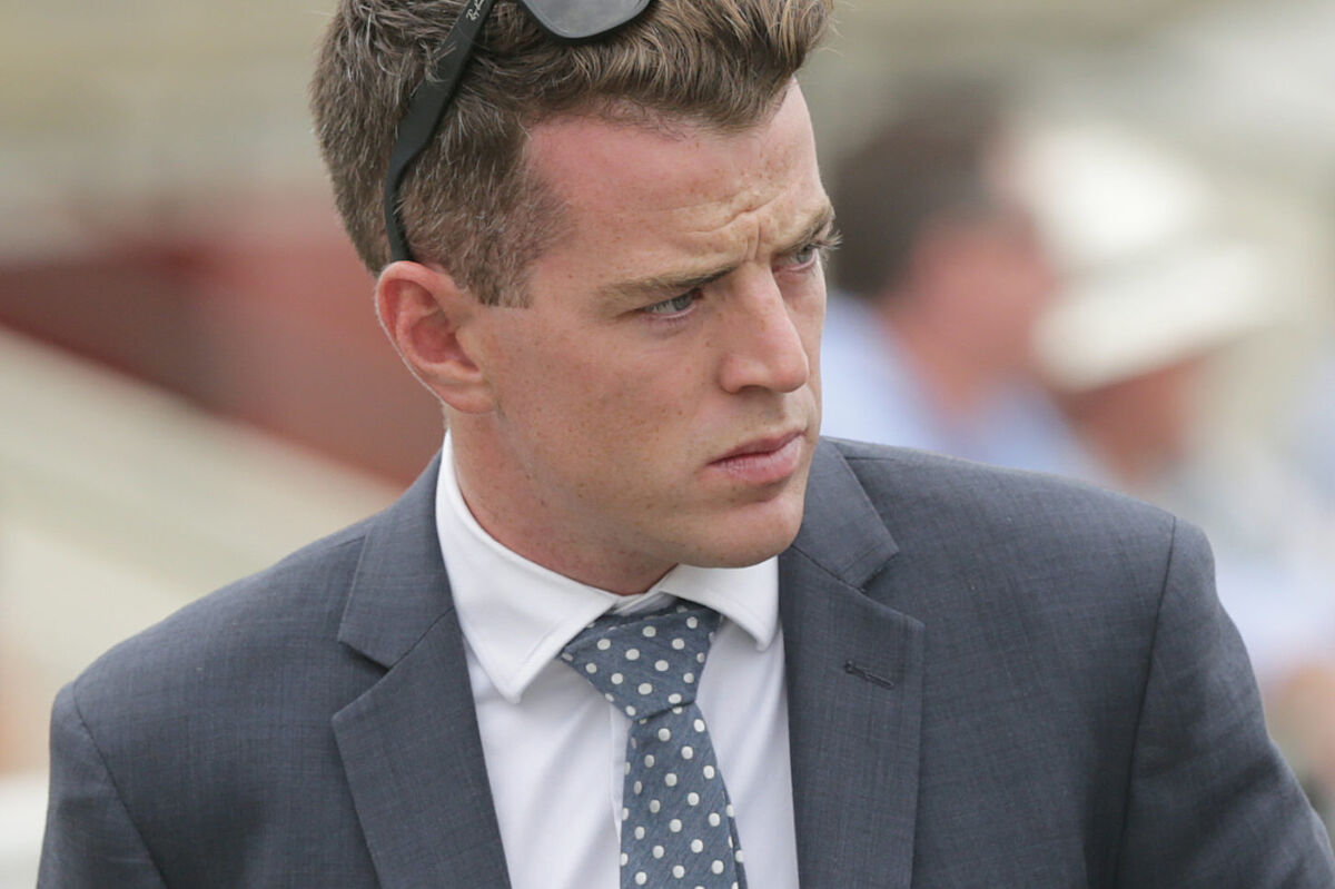Jamie Richards talks Te Akau's 5 Grp 1 Runners