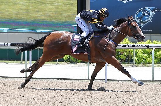 Richebourg Lands Back to Back Riches
