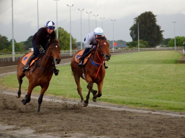 Te Akau Thursday Trackwork