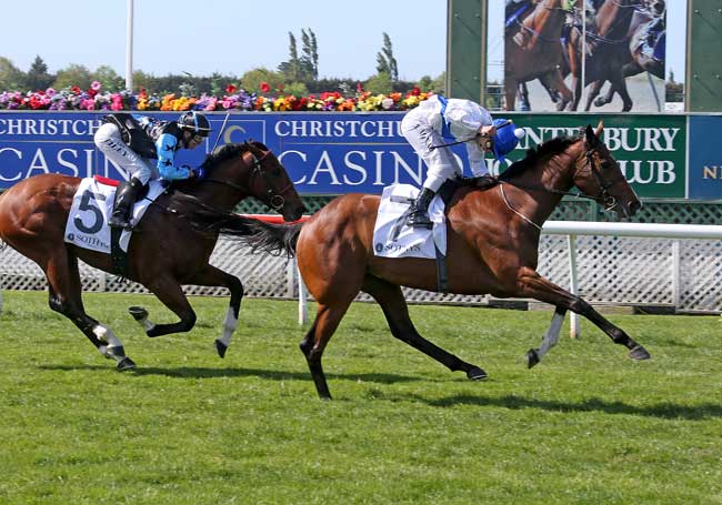 Win 5 of 5 - A Stakes' Winner