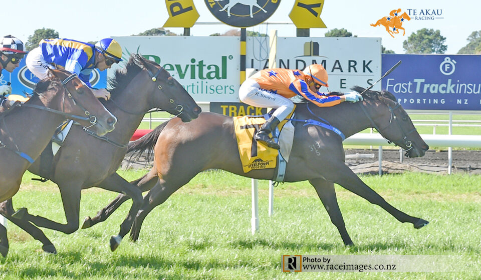 Te Akau Taranaki Thursday Preview