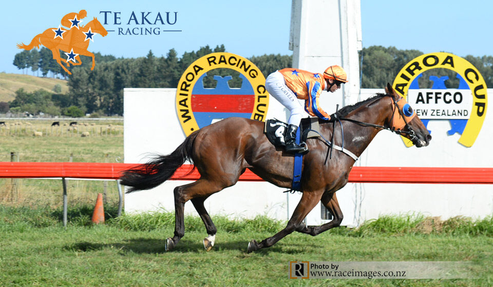 Te Akau Hastings Sunday Preview