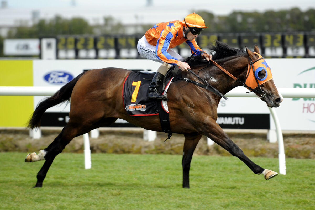 Te Akau Friday Trackwork