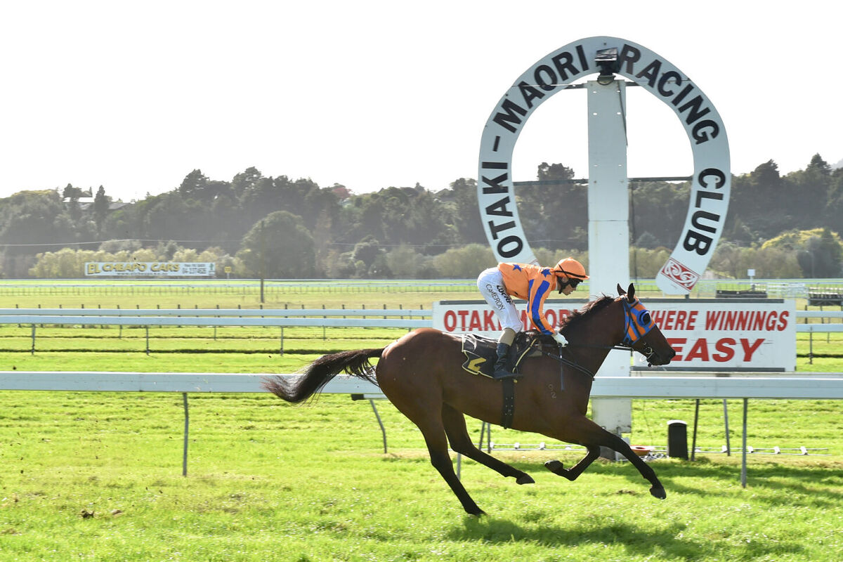 Te Akau Otaki Preview
