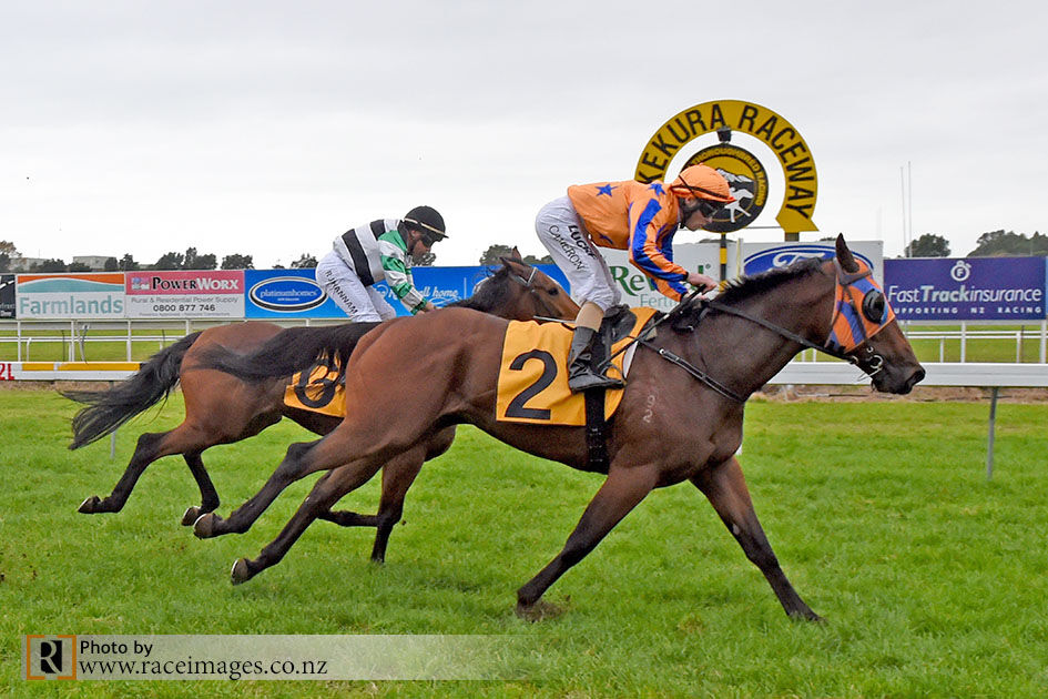 Te Akau Taranaki Preview