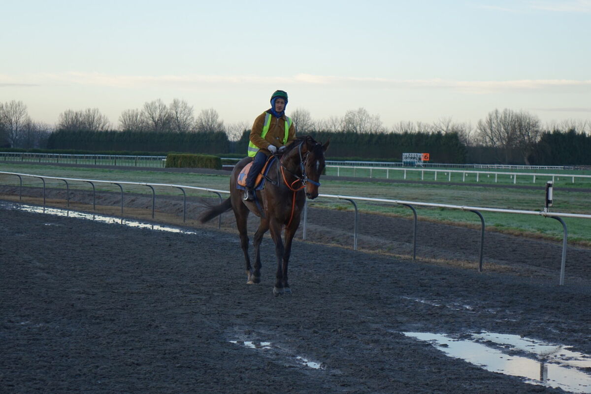 Te Akau Thursday Trackwork