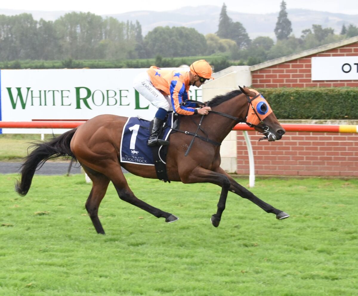 Three Win Saturday - Romancing the Moon Stakes' Superb