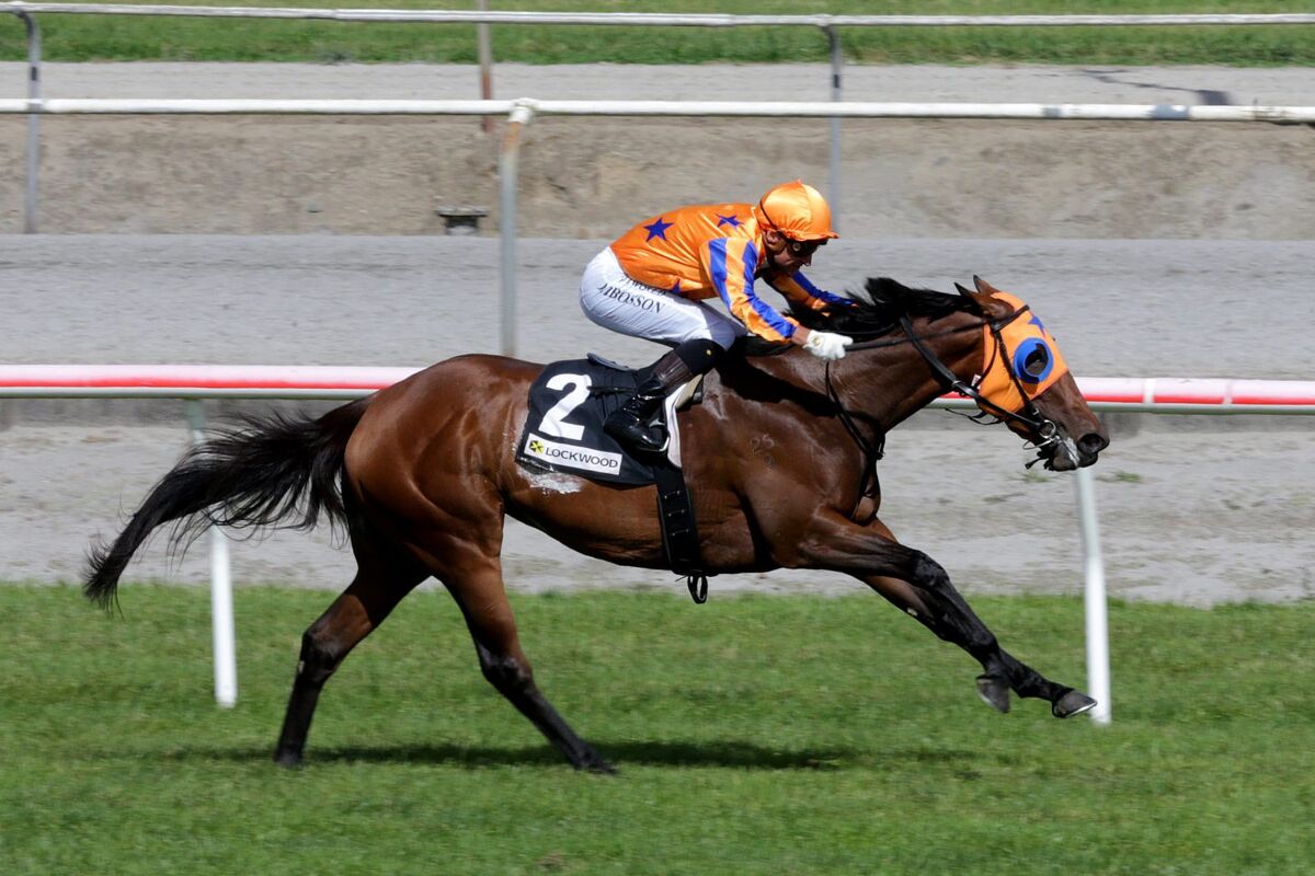 Te Akau Matamata Midweek Preview