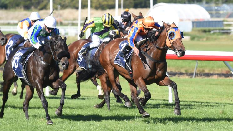 Group Sprint Tailormade for In-Form Mare