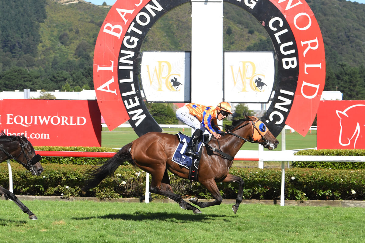 6 Win Saturday - Over the Moon, Another Group 1
