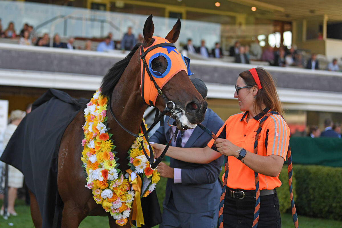 Season Review: A Group 1 Romance