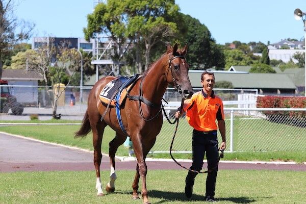 Te Akau Avondale Trials' Report