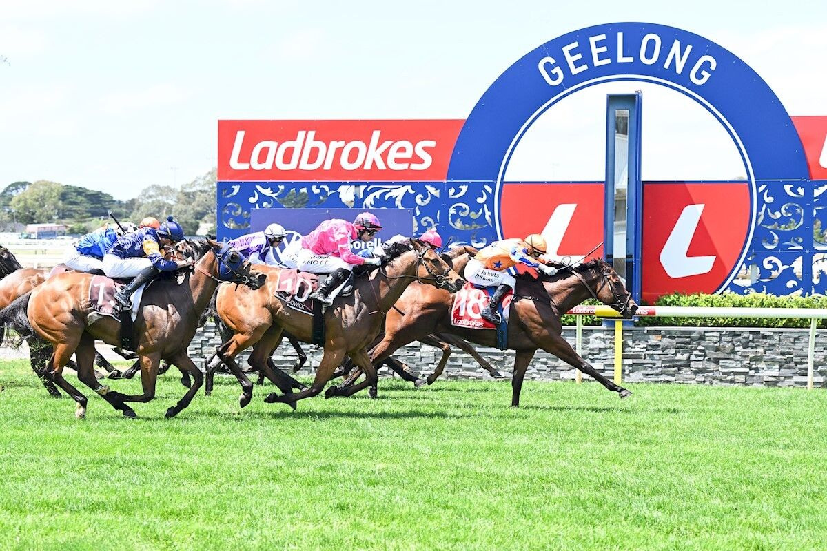 TRANS TASMAN WINNERS: A Royal Performance
