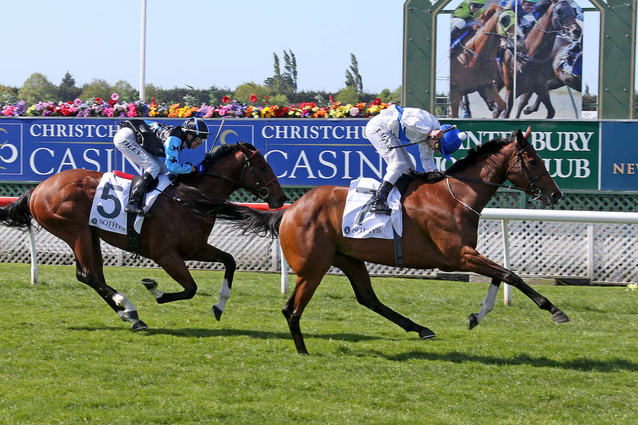 Risque Heads a Huge Weekend