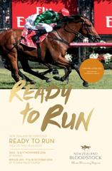 Te Akau is Ready to Run! Join the Champion team!